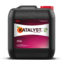 Katalyst2